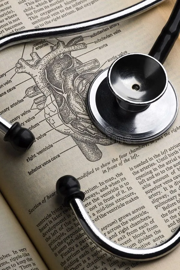  Minimalist Instagram Bio for Medical Students with a stethoscope, medical textbook, and study notes