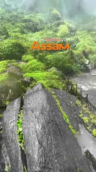 Assamese nature captions for Instagram featuring Assam greenery and a peaceful outdoor landscape