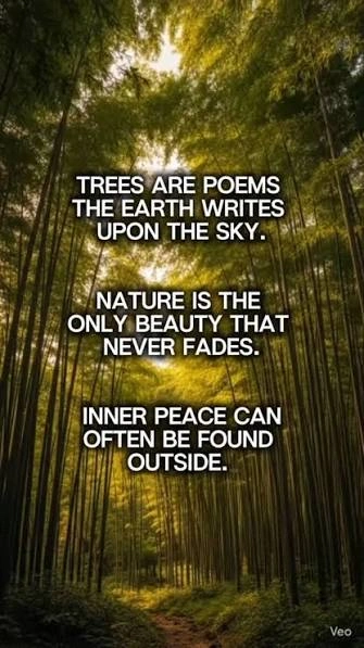 Tree Captions For Instagram for a peaceful outdoor selfie under a tree