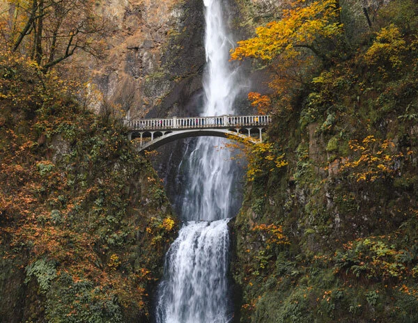  Nature and hiking Waterfall Captions Instagram for an outdoor waterfall adventure surrounded by trees and mountains.